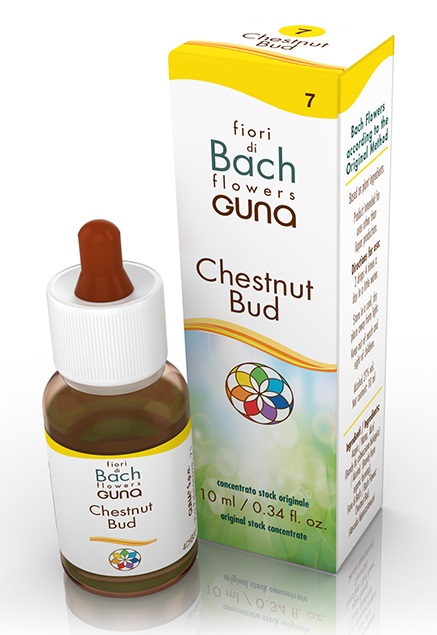 CHESTNUT BUD GOCCE 10 ML - Farmasanitas 