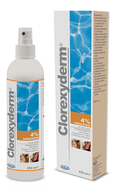 CLOREXYDERM SOLUZIONE 4% 250 ML - Farmasanitas 