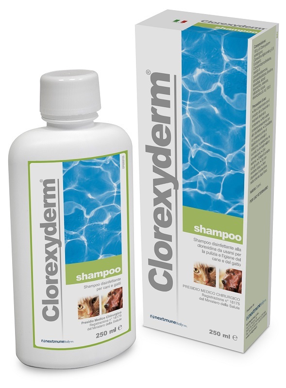 CLOREXYDERM SHAMPOO 250 ML - Farmasanitas 