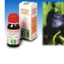 MIRTILLO 31 50ML TM - Farmasanitas 