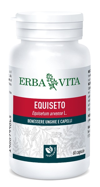 EQUISETO 60 CAPSULE - Farmasanitas 