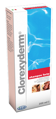 CLOREXYDERM SHAMPOO FORTE 200 ML - Farmasanitas 