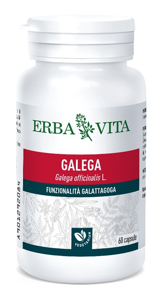 GALEGA 60 CAPSULE - Farmasanitas 