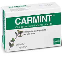 CARMINT 30 CAPSULE - Farmasanitas 