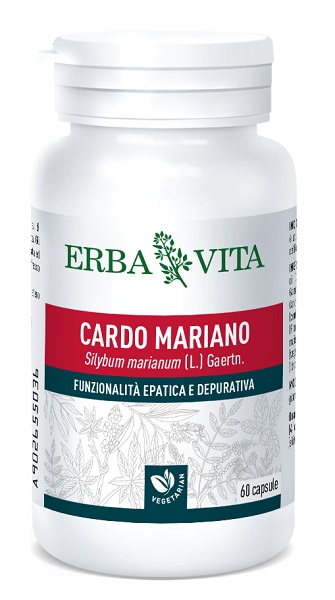 CARDO MARIANO 60 CAPSULE 400 MG - Farmasanitas 