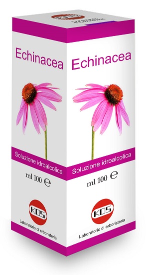 ECHINACEA SOLUZIONE IDROALCOLICA PIANTA FRESCA 100 ML - Farmasanitas 