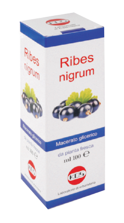 RIBES NIGRUM MACERATO GLICERICO 100 ML GOCCE - Farmasanitas 