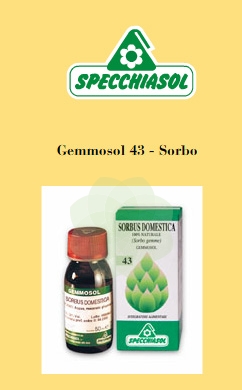 GEMMOSOL 43 SORBO 50ML - Farmasanitas 