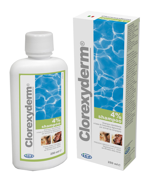 CLOREXYDERM SHAMPOO 4% 250 ML - Farmasanitas 