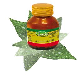 NONI 60 CAPSULE - Farmasanitas 