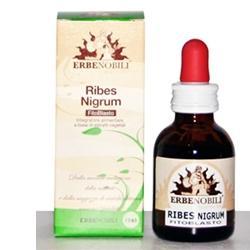 FITOBLASTO RIBES NIGRUM 50 ML - Farmasanitas 