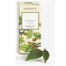 FICUS CARICA GEMME GEMMODERIVATO BIO 50 ML - Farmasanitas 