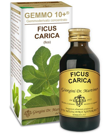 GEMMO 10+ FICO LIQUIDO ANALCOLICO 100 ML - Farmasanitas 