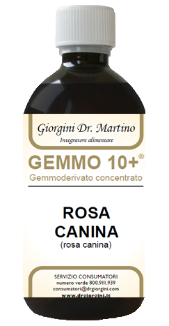 GEMMO 10+ ROSA CANINA LIQUIDO ANALCOLICO 500 ML - Farmasanitas 