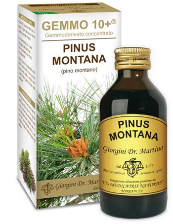 GEMMO 10+ PINO MONTANO 100 ML LIQUIDO ANALCOLICO - Farmasanitas 