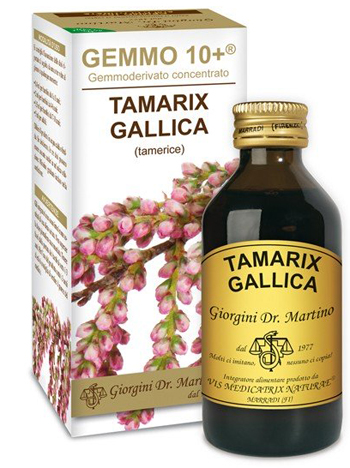GEMMO 10+ TAMERICE 100 ML LIQUIDO ANALCOLICO - Farmasanitas 