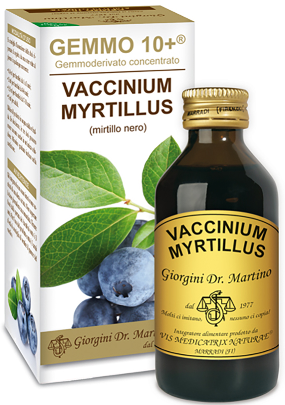 GEMMO 10+ GEMMODERIVATO CONCENTRATO VACCINIUM MYRTILLUS MIRTILLO NERO SENZA ALCOOL 100 ML - Farmasanitas 