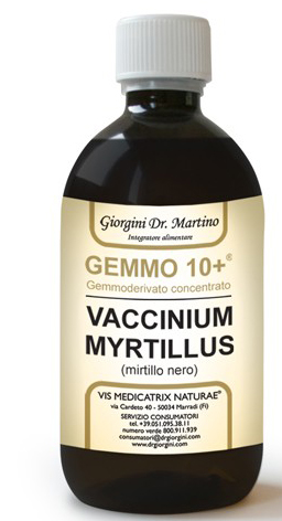 GEMMO 10+ MIRTILLO NERO LIQUIDO ANALCOLICO 500 ML - Farmasanitas 
