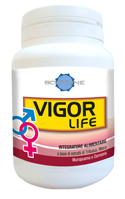 VIGOR LIFE 40 CAPSULE - Farmasanitas 