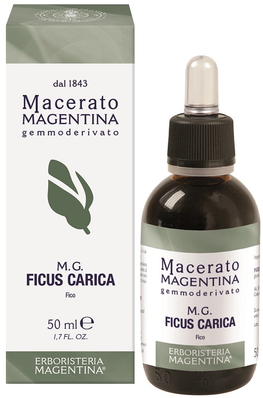FICUS CARICA MACERATO MAGENTINA 50 ML - Farmasanitas 