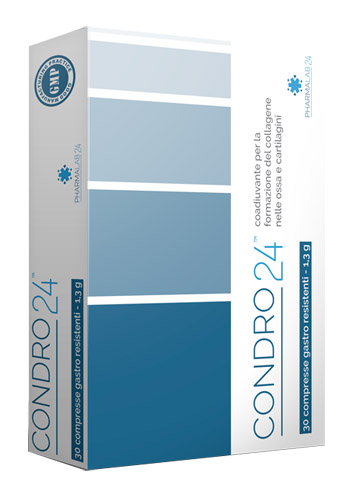 CONDRO24 30 COMPRESSE - Farmasanitas 