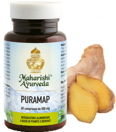 PURAMAP 60 COMPRESSE - Farmasanitas 