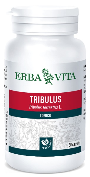 TRIBULUS TERRESTRIS 60 CAPSULE 500 MG - Farmasanitas 