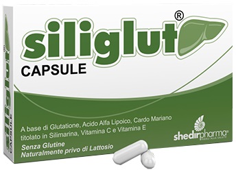 SILIGLUT 20 CAPSULE - Farmasanitas 