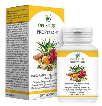 PROSTALOE NATUROCARE 90 CAPSULE - Farmasanitas 