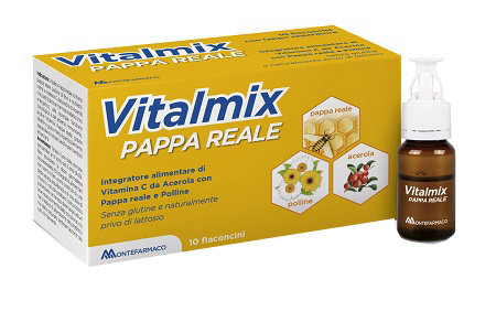VITALMIX PAPPA REALE 10FLACONCINI X10 ML S/GL - Farmasanitas 