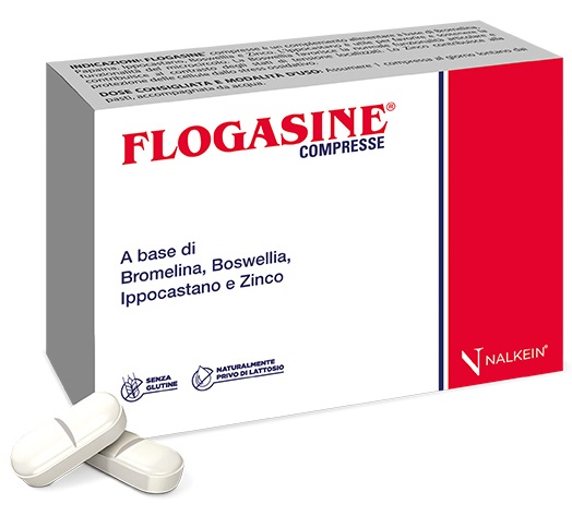 FLOGASINE 20 COMPRESSE - Farmasanitas 