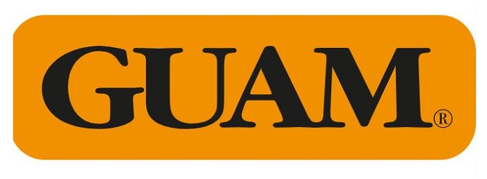 GUAM PANTY VENTRE PIATTO SNELLENTE S-M 42-44 - Farmasanitas 