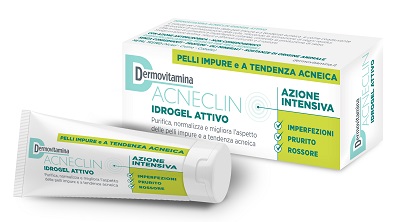 DERMOVITAMINA ACNECLIN IDROGEL ATTIVO AZIONE INTENSIVA 40 ML - Farmasanitas 