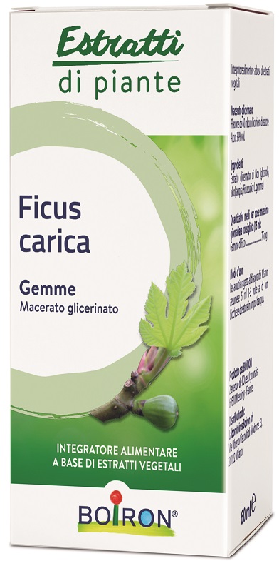 FICUS CARICA BOIRON MACERATO GLICERICO 60 ML - Farmasanitas 