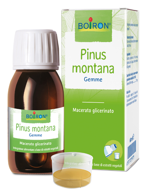 PINUS MONTANA BOIRON MACERATO GLICERICO 60 ML - Farmasanitas 
