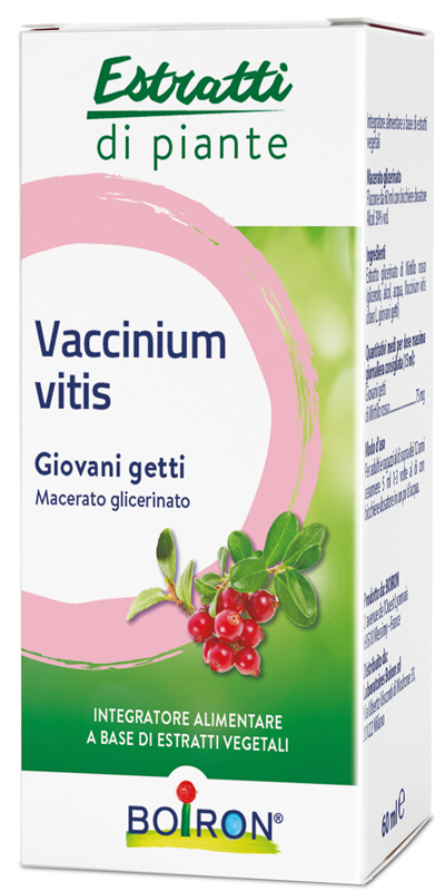 VACCINIUM VITIS MACERATO GLICERICO 60 ML - Farmasanitas 